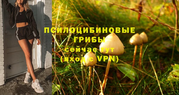 герыч Чегем