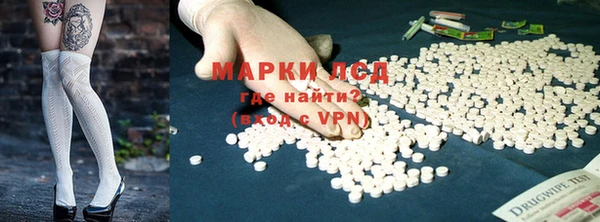 гидра Липки