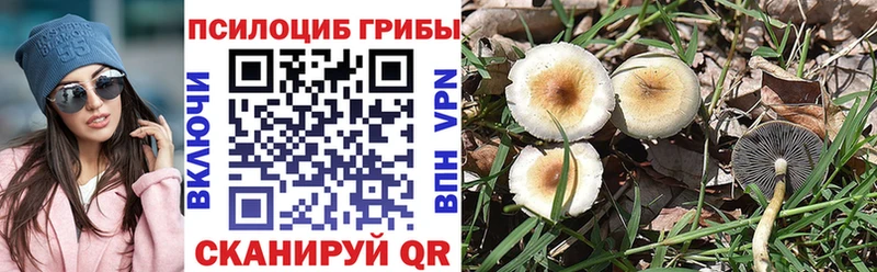 Галлюциногенные грибы мицелий  Междуреченск 