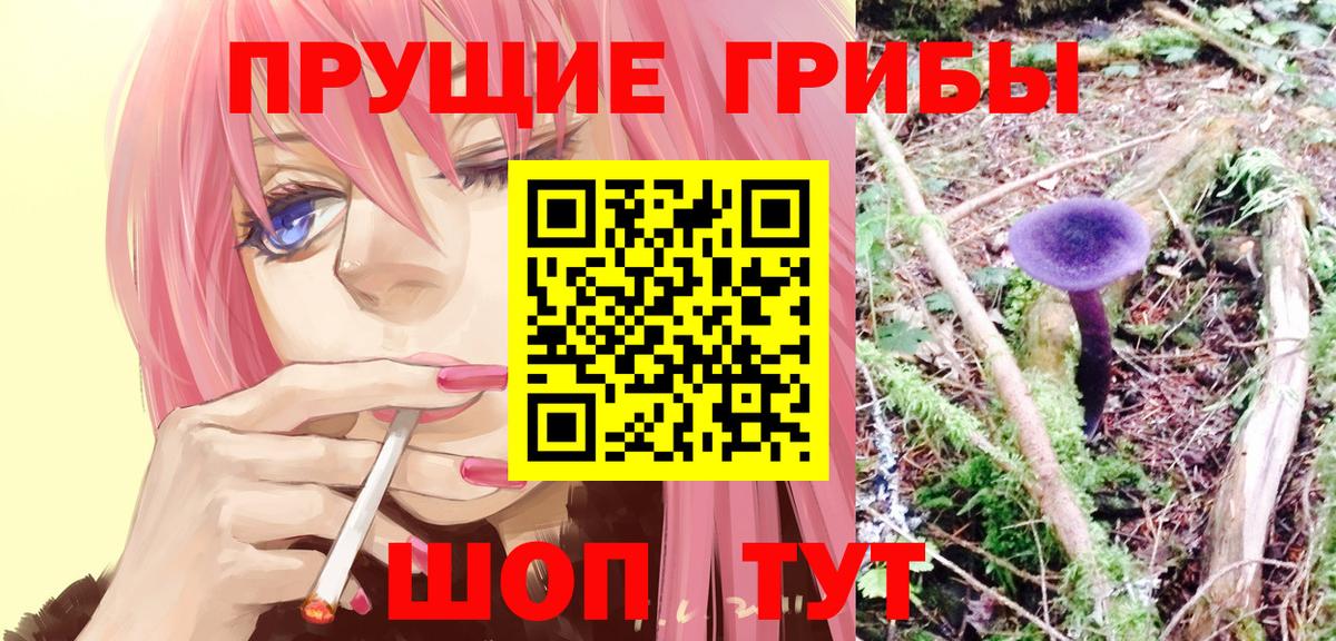 Галлюциногенные грибы MAGIC MUSHROOMS  Вход с VPN  Междуреченск 