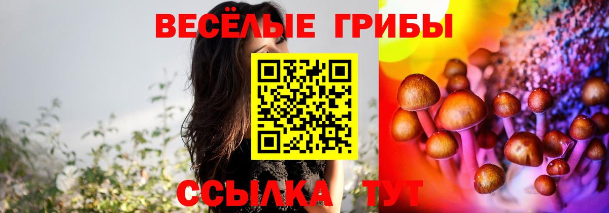 Галлюциногенные грибы GOLDEN TEACHER Междуреченск